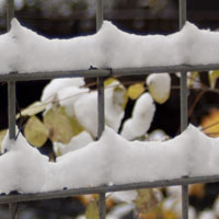 snow on fence